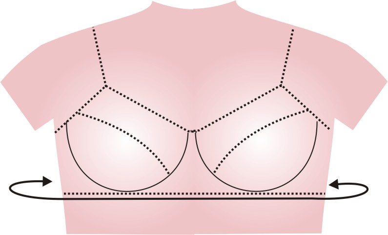measure for rib cage