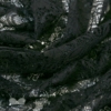 Black Megan Allover Rigid Lace Fabric Bra-Makers Supply