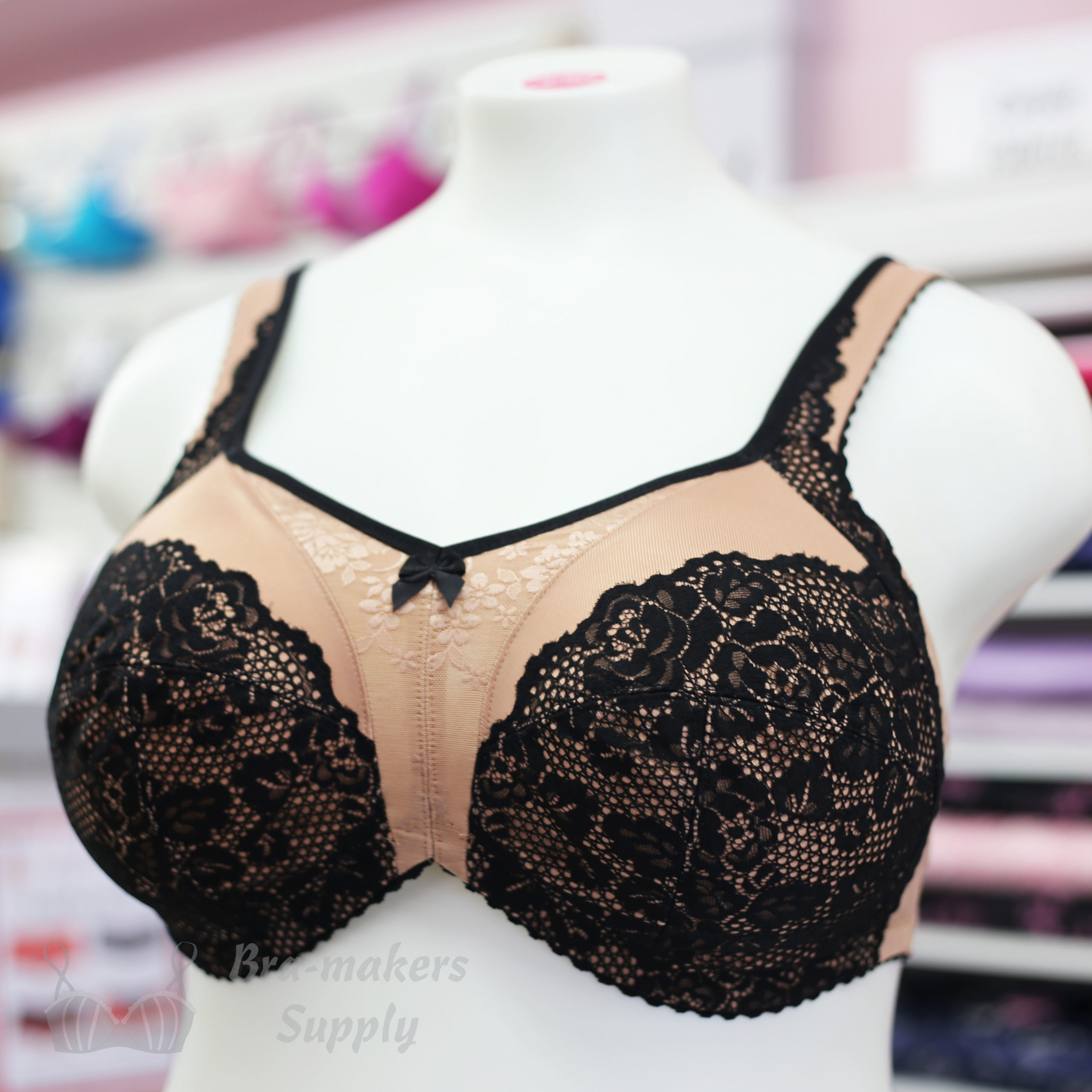Beginner Bra – Sapphire (Online Class) - Bra-makers Supply the leading  global source for bra making and corset making supplies